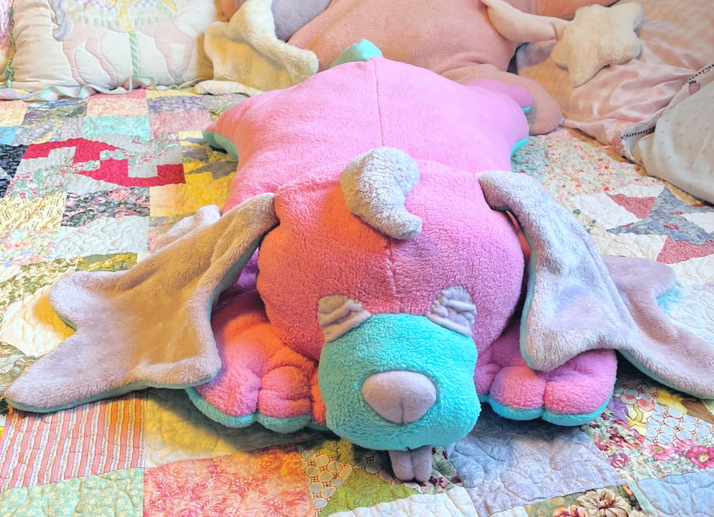 Image of Super Nova Starpup