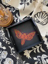 Image 1 of Deathshead Moth Wooden Tray