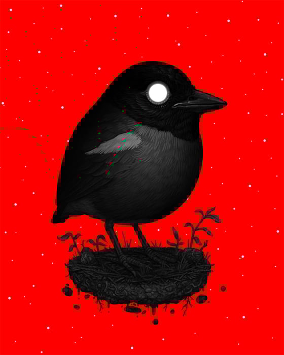 Image of Eastern Hooded Pitta (Void Variant)