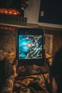 Image 1 of An Ode to the Birds eBook