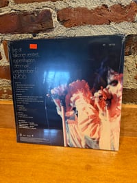 Image 3 of THE DOORS Live in Copenhagen, 1968