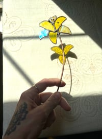 Image 2 of Yellow Lily 