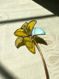 Image 4 of Yellow Lily 