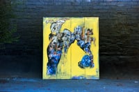 Image 1 of underbelly