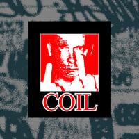 Image 2 of COIL