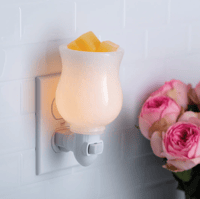 Image 2 of Pluggable Wax Melter