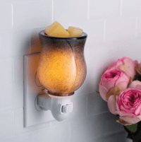 Image 3 of Pluggable Wax Melter