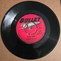 Image 1 of Dennis Walks - Shady Tree