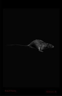 Rattus