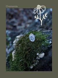 Image 2 of FLORA IMPRESSA Silver Ring 