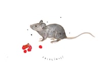 Image 2 of Ziemassvētku kartīte 