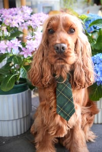 Christmas Tartan - Neck Tie