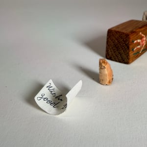 Image of Secret Wish Charm 16