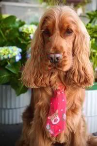 Image 2 of Rudolph - Neck Tie