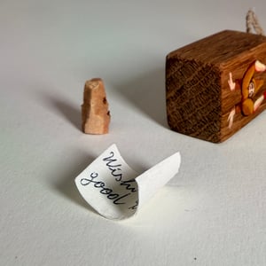 Image of Secret Wish Charm 20