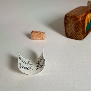 Image of Secret Wish Charm 23