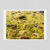 Image 1 of MOSSY