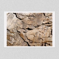 Image 1 of GARIWERD 01