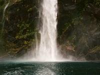 Image 2 of PIOPIOTAHI