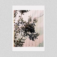 Image 1 of UNTITLED 02