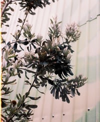 Image 2 of UNTITLED 02