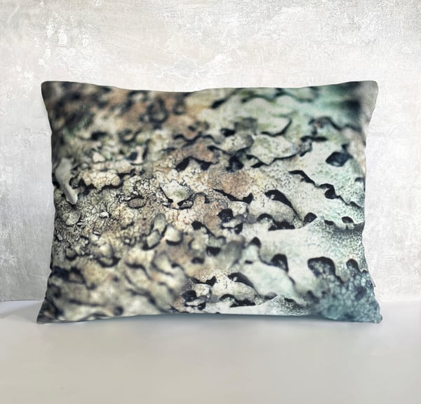 Image of Silver lichen, printed velvet and linen cushion