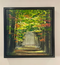 Image 4 of 'Woodland Wanderings'