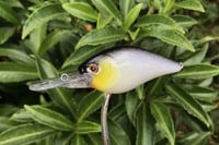 Image 8 of SPEEDBAITS Custom Airbrushed LC 1.5 DD 9396