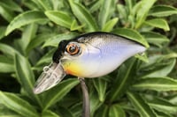 Image 5 of  Custom Airbrushed Crankbait 5890