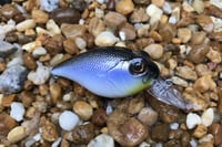 Image 2 of  Custom Airbrushed Crankbait 5890