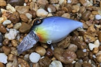 Image 3 of  Custom Airbrushed Crankbait 5890