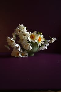 Dahlias and Cosmos in White