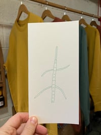Image 2 of Stick Insect card