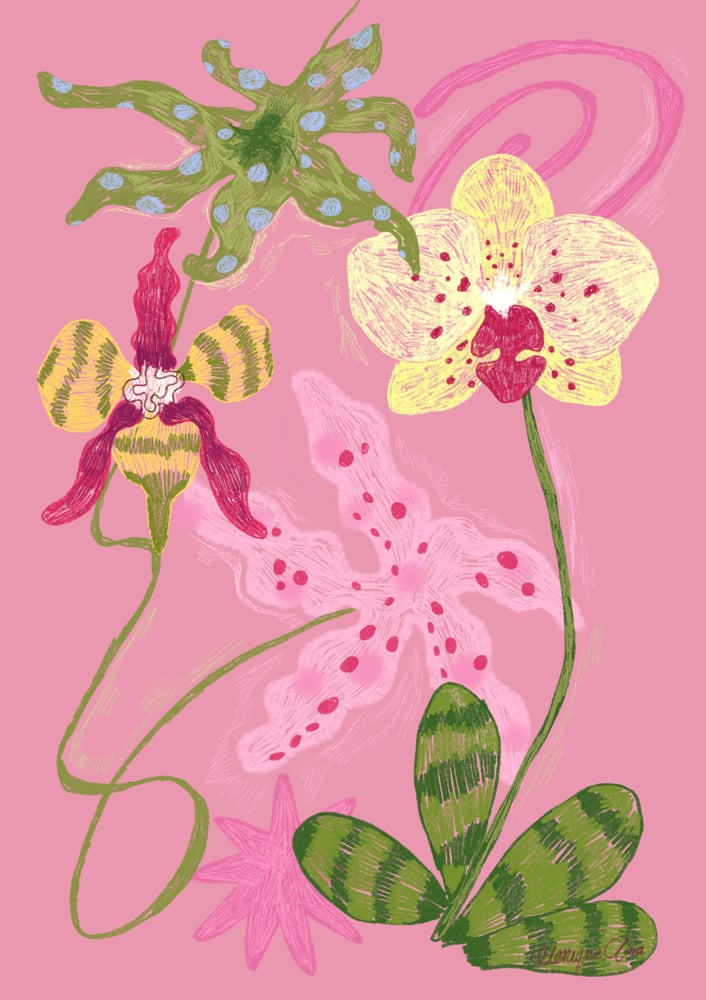 Image of Orchids A3