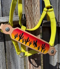 Image 2 of Desert Sunset Bronc Halter 