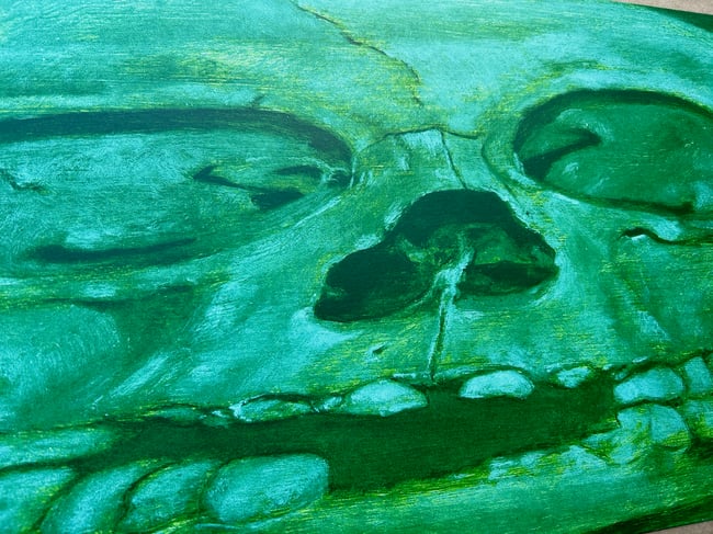 Brook Hsu Skull (screen printed by Leslie Dugood/Du-good Press) 