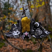 Image 4 of Planchette Predictions Vampire Bat 