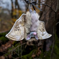 Image 2 of Bonedust Bat 