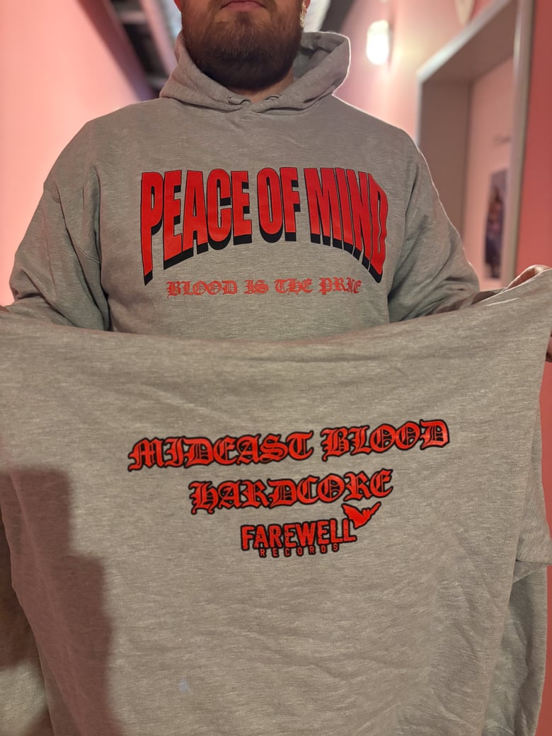 Image of Blood Is The Price Hoodie grey/red