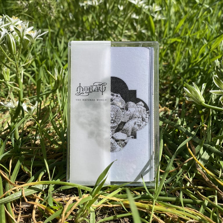 Moray - The Natural World Cassette (Second Pressing) Image 2