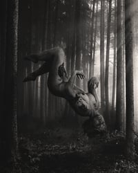 Image 2 of The Lost - 12x6 Fine Art Matte Print