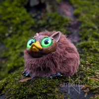 Image 1 of Duckbilled Cattypus - Chestnut 