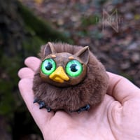 Image 2 of Duckbilled Cattypus - Chestnut 