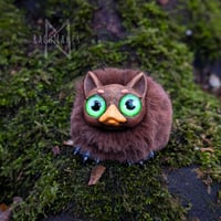 Image 3 of Duckbilled Cattypus - Chestnut 