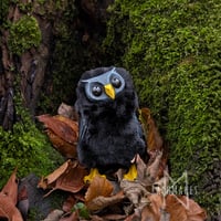 Image 1 of Coal Horned Hootling