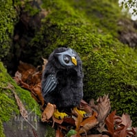 Image 3 of Coal Horned Hootling