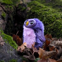 Image 1 of Purple and Pink Hootling
