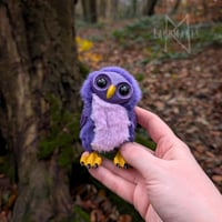 Image 2 of Purple and Pink Hootling