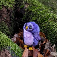 Image 3 of Purple and Pink Hootling