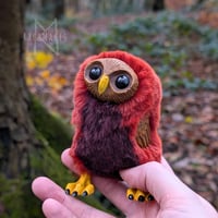 Image 1 of Terracotta Maroon Hootling